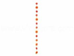 Zeige Details für Muschelkette bicolor orange-rot-gelb Bild von Muschelkette bicolor orange-rot-gelb