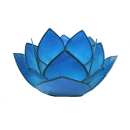 Zeige Details für Lotus-Licht Abendsonne atlantikblau Bild von Lotus-Licht Abendsonne atlantikblau