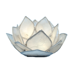 Zeige Details für Lotus-Licht Abendsonne weiß Bild von Lotus-Licht Abendsonne weiß