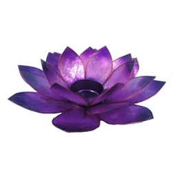 Zeige Details für Lotus-Licht Sommersonne violett Bild von Lotus-Licht Sommersonne violett