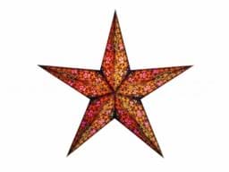 Zeige Details für starlightz kalea amber Bild von starlightz kalea amber