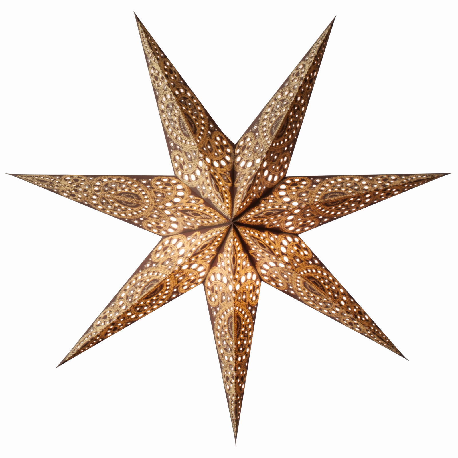 Bild von starlightz baby kashmir brown