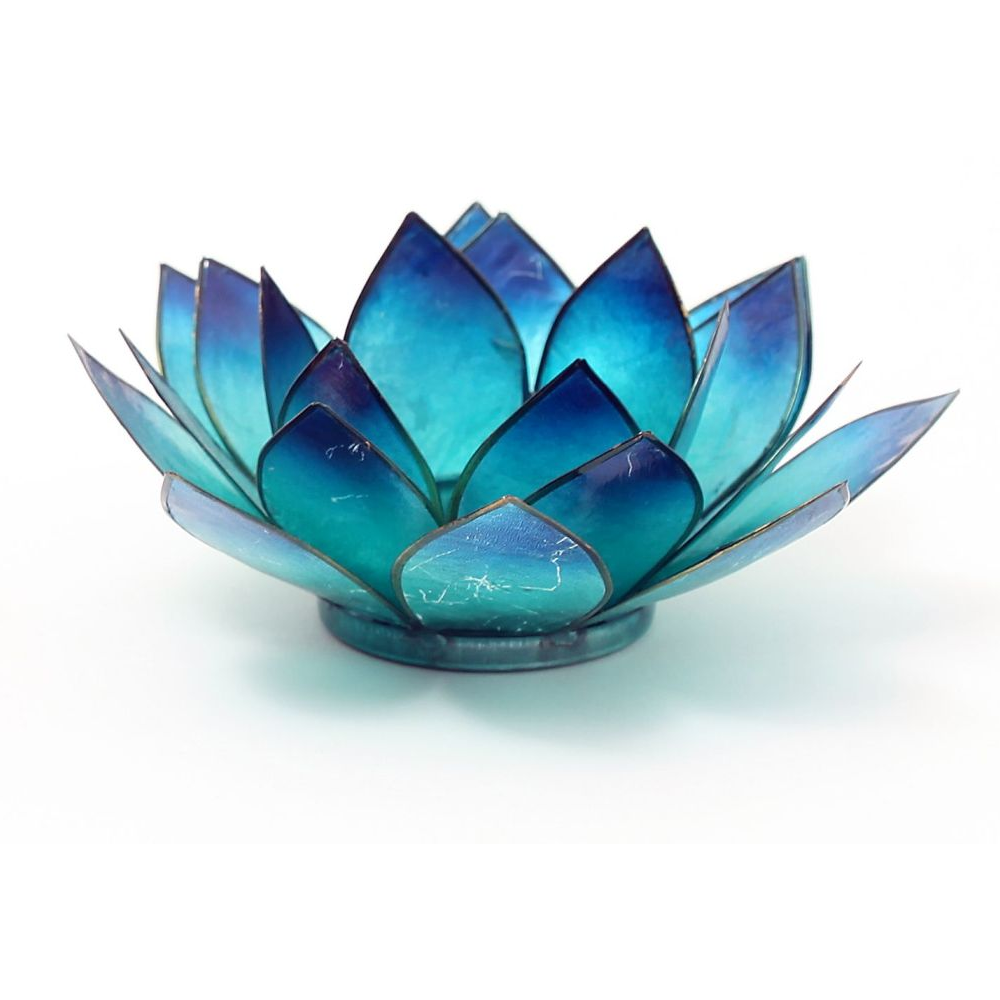 Bild von Lotus-Licht Sommersonne atlantikblau