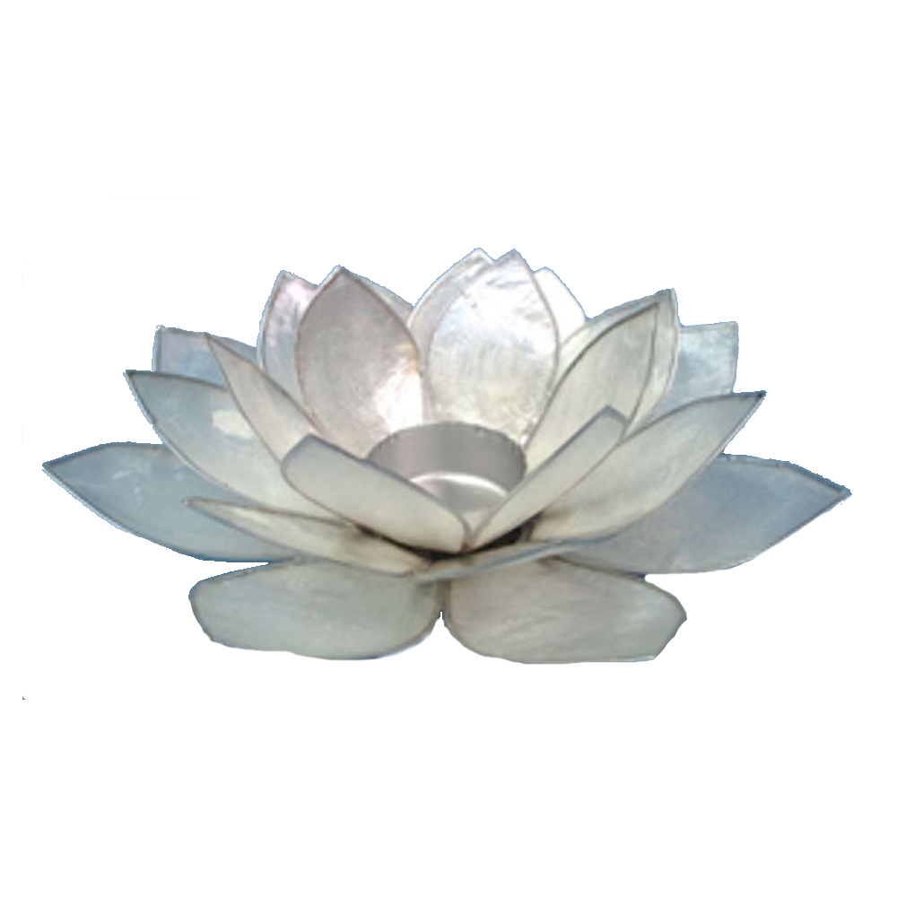 Bild von Lotus-Licht Sommersonne weiß