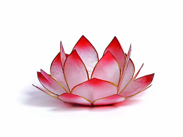 Bild von Teelicht Lotus-Licht Sonnenaufgang rosé