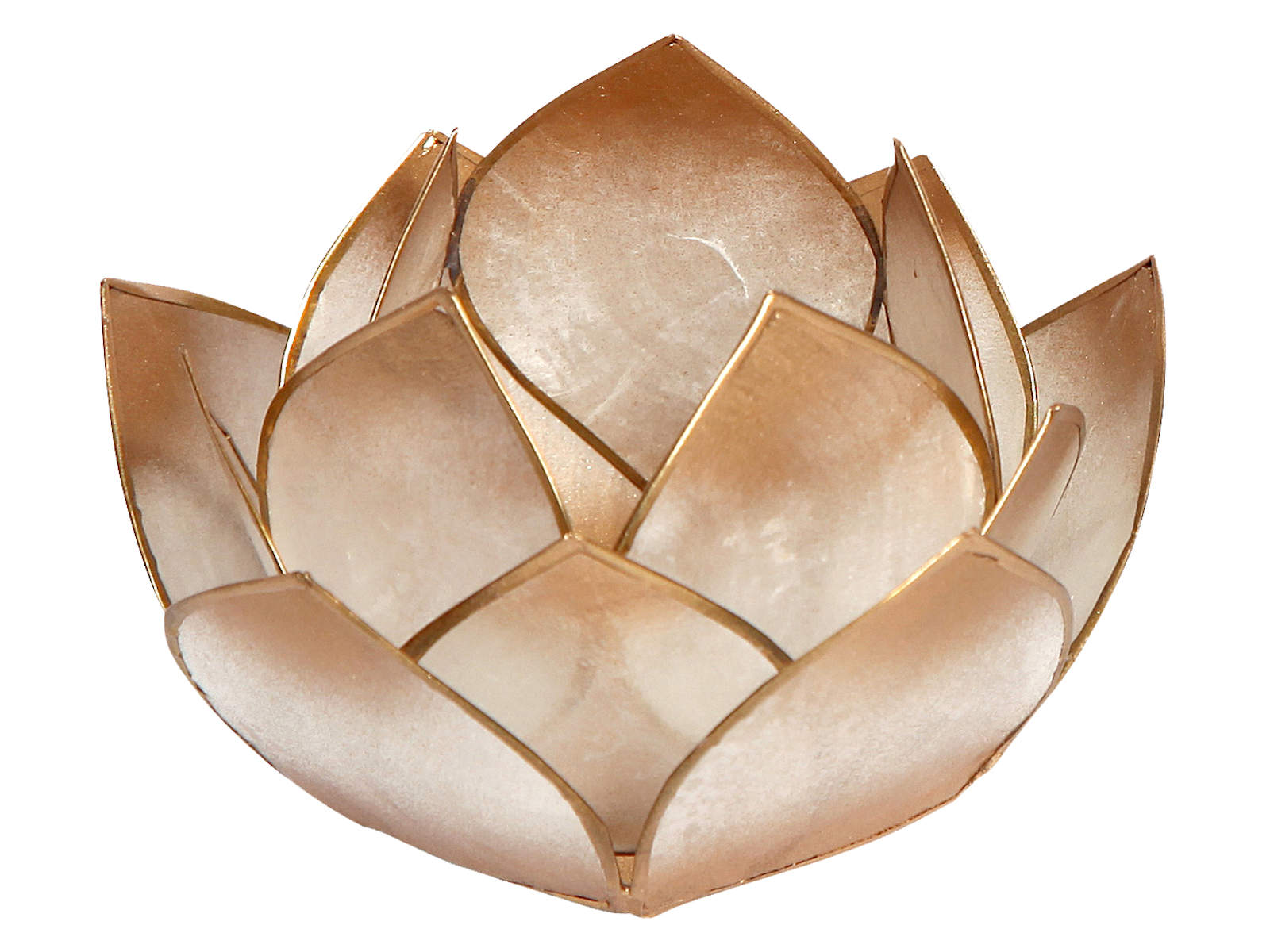 Bild von Teelicht Lotus-Licht Abendsonne gold